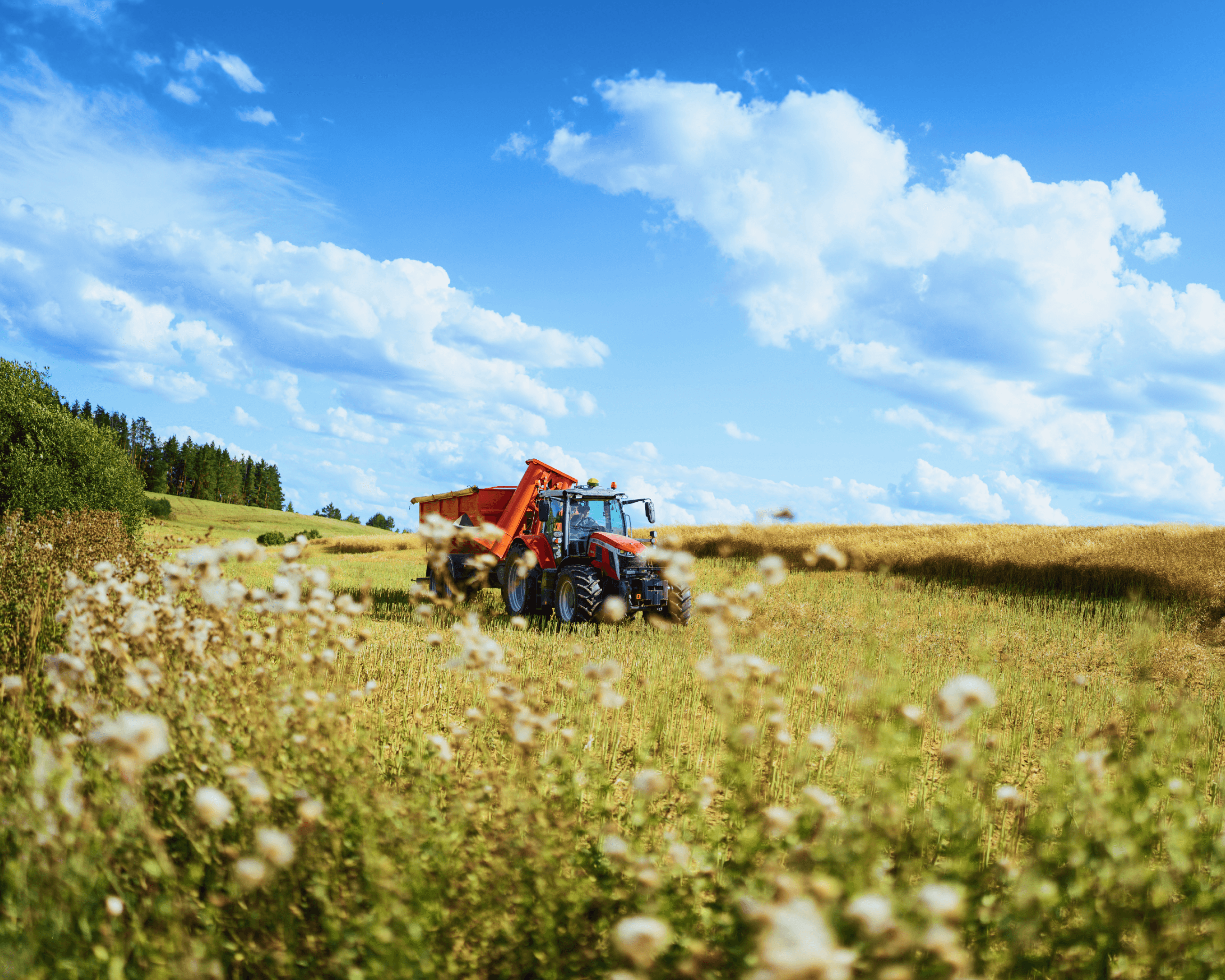 Massey ferguson tractor